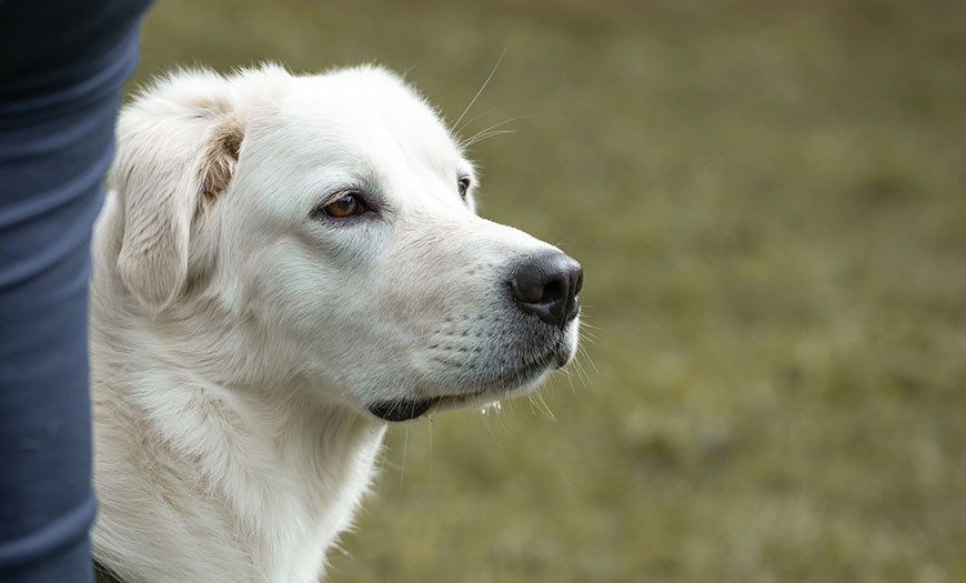 Bilder_Meine_Projekte_0000_IMG_1040