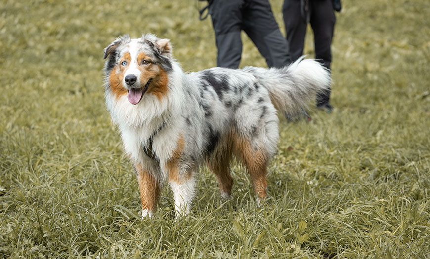 Bilder_Meine_Projekte_0001_IMG_0903