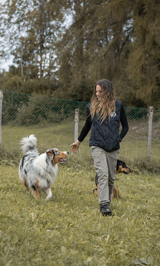 Bilder_Meine_Projekte_0007_IMG_1182